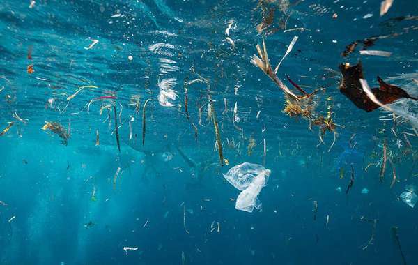 为什么回收塑料需要立法才能有效