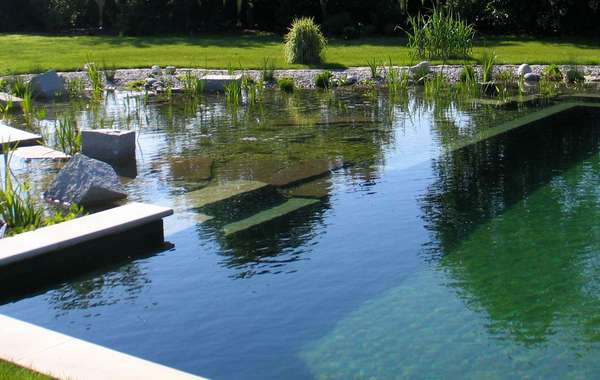 生态住宅自然泳池设计DIY (NSP)