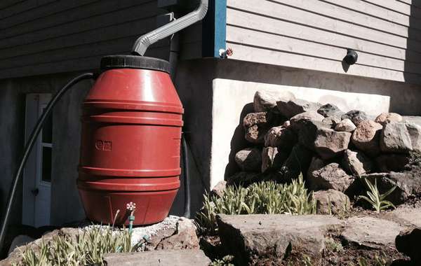 用于雨水管理和雨水收集的雨桶