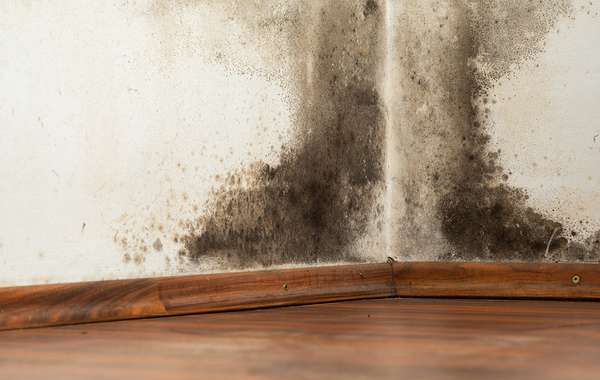 空调房的聚气屏障会导致霉菌和腐烂