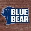 蓝色的熊